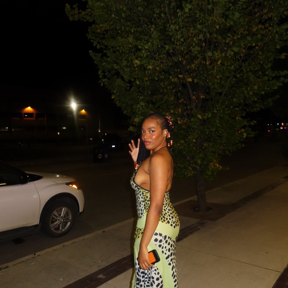 Stylish Green and Black Women's Dress